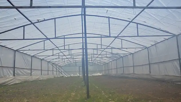 Erciş Belediyesi Sera Kuruyor