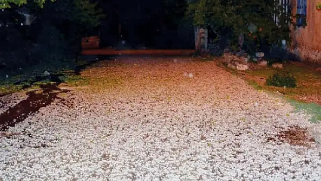 DOLU VAN'I KÖTÜ VURDU