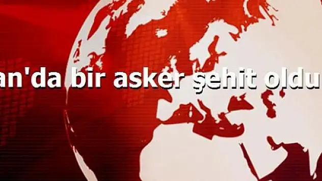 Van'da Bir Asker Şehit Oldu