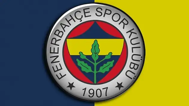 Fenerbahçe'nin bütcesi ne kadar?