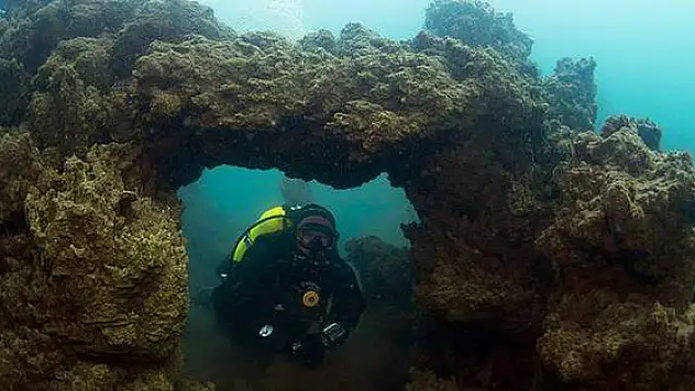 Vangölü Şaşırtıyor