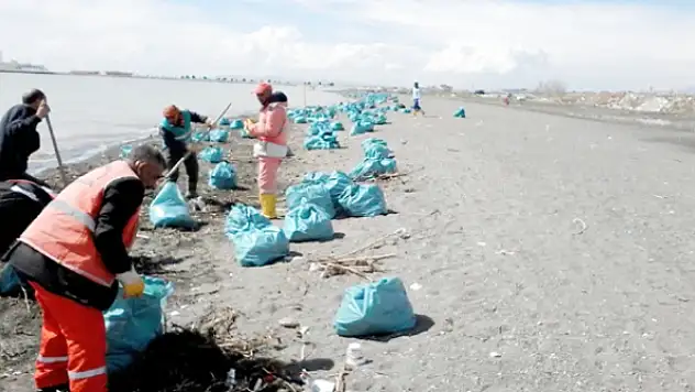 Sahillerde tonlarca çöp toplandı