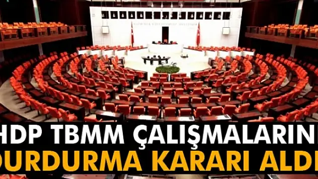 HDP: 'Yasama çalışmalarını durdurmaya karar verdik'