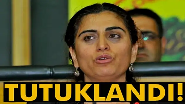 DBP Eş Genel Başkanı Sebahat Tuncel tutuklandı