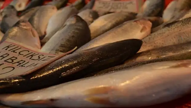 Balığın vücuda 10 faydası