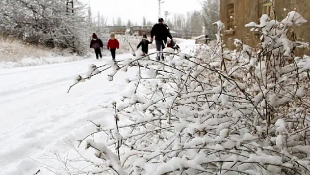 Başkale'de kar yağışı