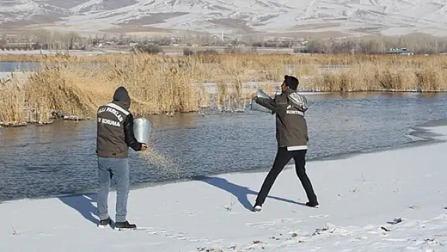 Yaban hayvanları için doğaya yem bırakıldı