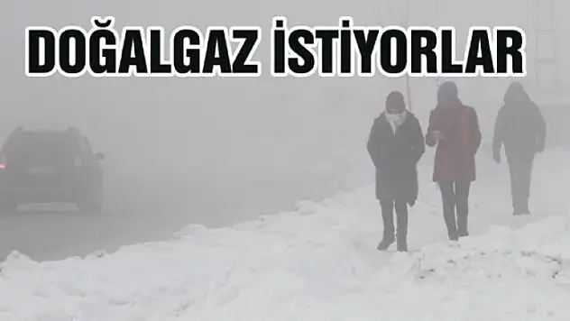 Çaldıran halkı doğalgaz istiyor