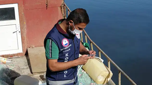 Van balığının boyu uzadı