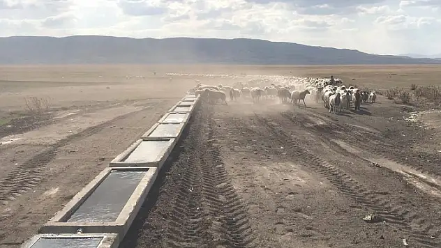 Van Büyükşehir Belediyesi 120 mahalleye bin adet sıvat kurdu