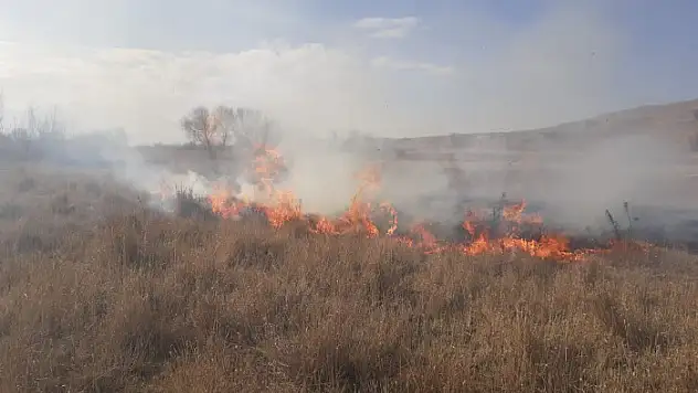 Gürpınar'da kuruyan otlar alev alev yandı