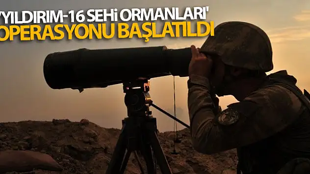 İçişleri Bakanlığınca Bitlis'te 'Yıldırım-16 Sehi Ormanları' operasyonu başlatıldı