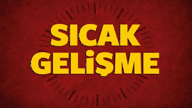İkna edilen 2 örgüt mensubu teslim oldu