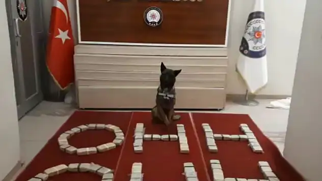 Van'da bir otomobilde 30 kilo eroin ele geçirildi