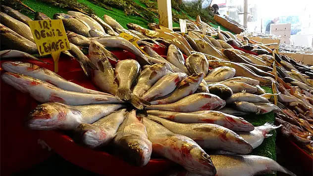 Van'da yediği balon balığından zehirlenen kişi hayatını kaybetti