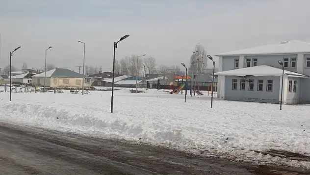 Çaldıran'da karbondioksit gazı sorunu