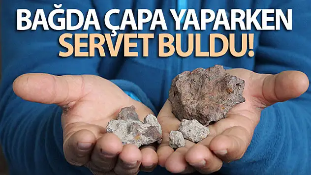 Bağda çapa yaparken servet buldu