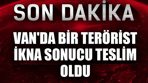 Van'da bir terörist ikna sonucu teslim oldu