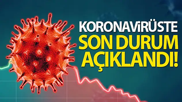 Türkiye'de son 24 saatte 7.590 koronavirüs vakası tespit edildi