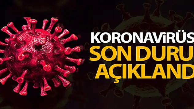 Türkiye'de son 24 saatte 7.763 koronavirüs vakası tespit edildi