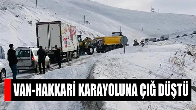Van-Hakkari karayoluna çığ düştü