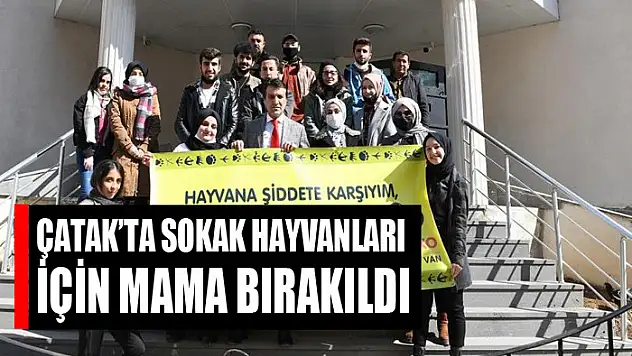 Çatak'ta sokak hayvanları için mama bırakıldı