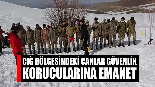 Çığ bölgesindeki canlar güvenlik korucularına emanet