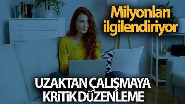 Uzaktan Çalışma Yönetmeliği Resmi Gazete'de yayımlandı