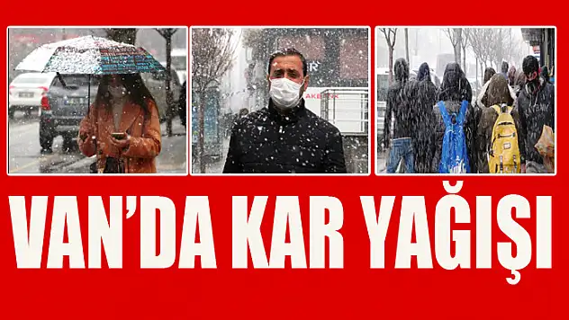 Van'da kar yağışı