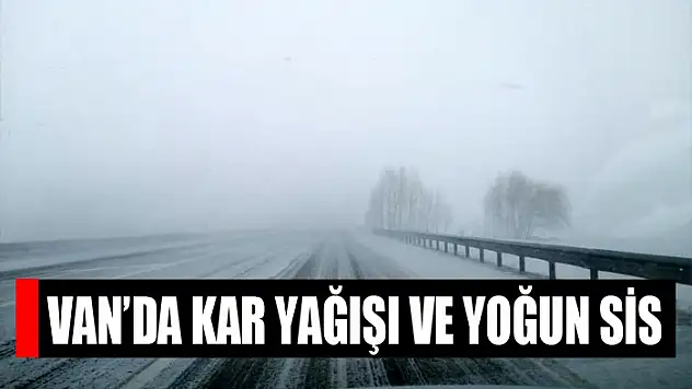 Van'da kar yağışı ve yoğun sis