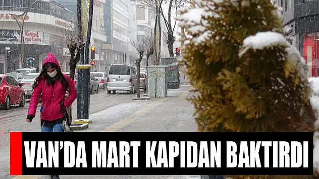 Van'da mart kapıdan baktırdı