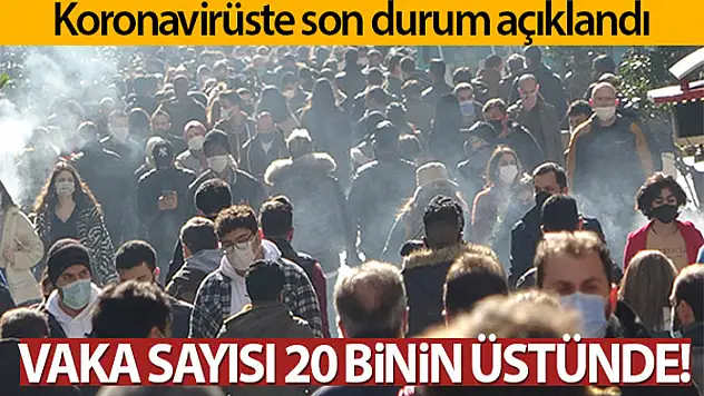 Türkiye'de son 24 saatte 20.428 koronavirüs vakası tespit edildi
