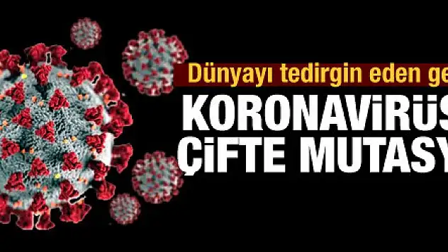 Kovid-19'un 'Çift mutant' varyantı görüldü