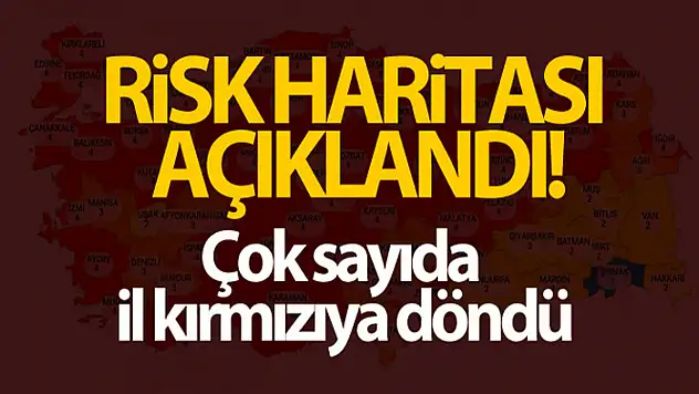 Sağlık Bakanı Koca, risk haritasını yayımladı