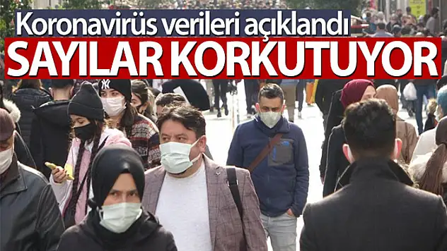 Son 24 saatte korona virüsten 186 kişi hayatını kaybetti