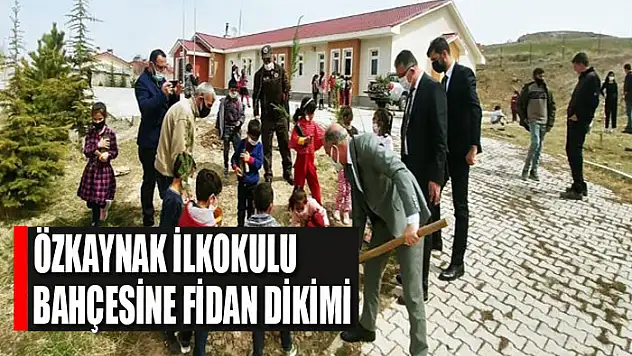 Özkaynak İlkokulu bahçesine fidan dikimi