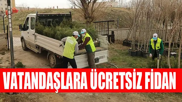 İpekyolu Belediyesi'nden vatandaşlara ücretsiz fidan