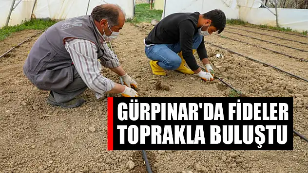 Gürpınar'da fideler toprakla buluştu