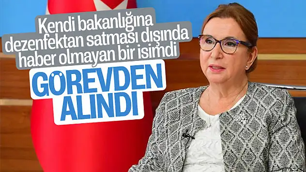 Ruhsar Pekcan'ın görevine son verildi