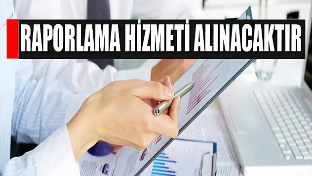 Raporlama hizmeti alınacaktır