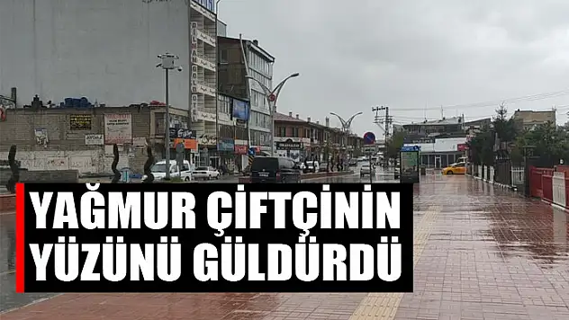 Erciş'te yağmur çiftçinin yüzünü güldürdü