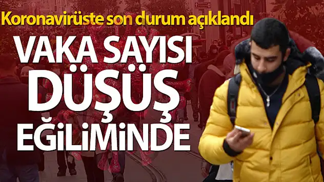 Türkiye'de son 24 saatte 28.817 koronavirüs vakası tespit edildi