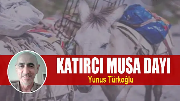 Katırcı Musa Dayı