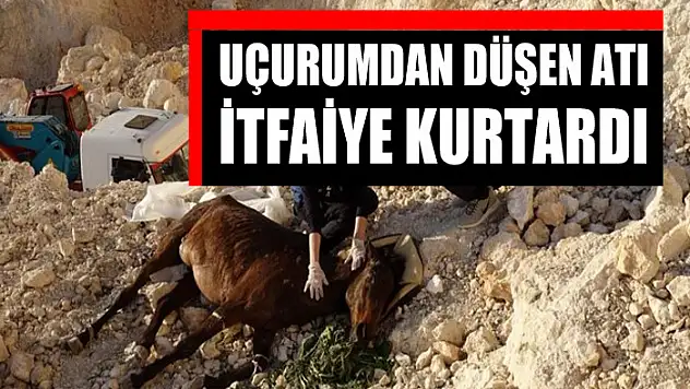 Uçurumdan düşen atı itfaiye kurtardı