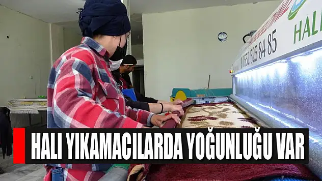 Halı yıkamacılarda yoğunluğu var