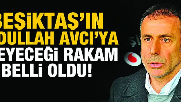 İşte Beşiktaş'ın Abdullah Avcı'ya ödeyeceği rakam!
