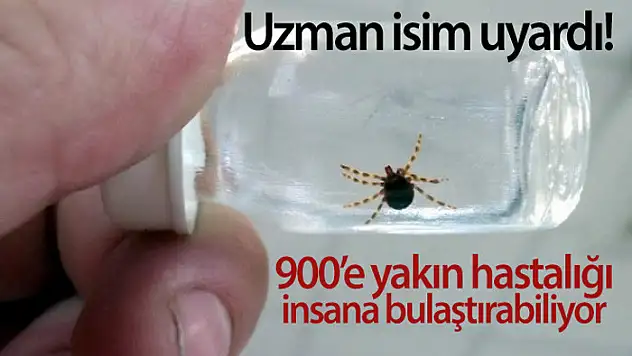 Uzman isim uyardı! 900'e yakın hastalığı insana bulaştırabiliyor