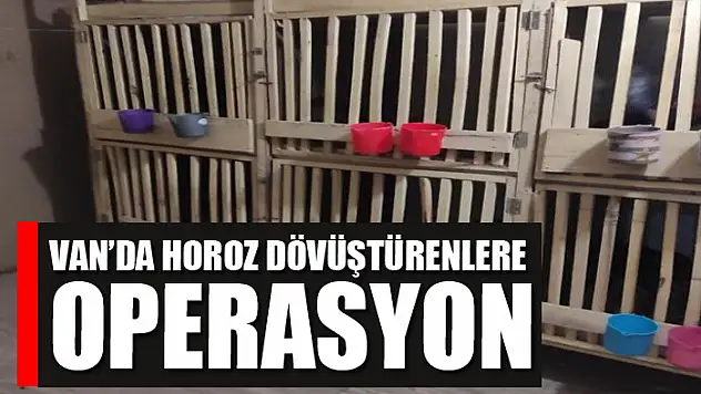 Van'da horoz dövüştürenlere operasyon