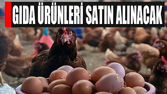 Gıda ürünleri satın alınacak