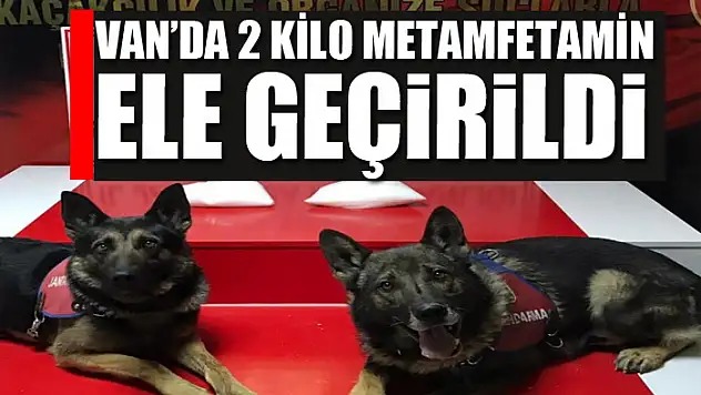 Van'da 2 kilo metamfetamin ele geçirildi